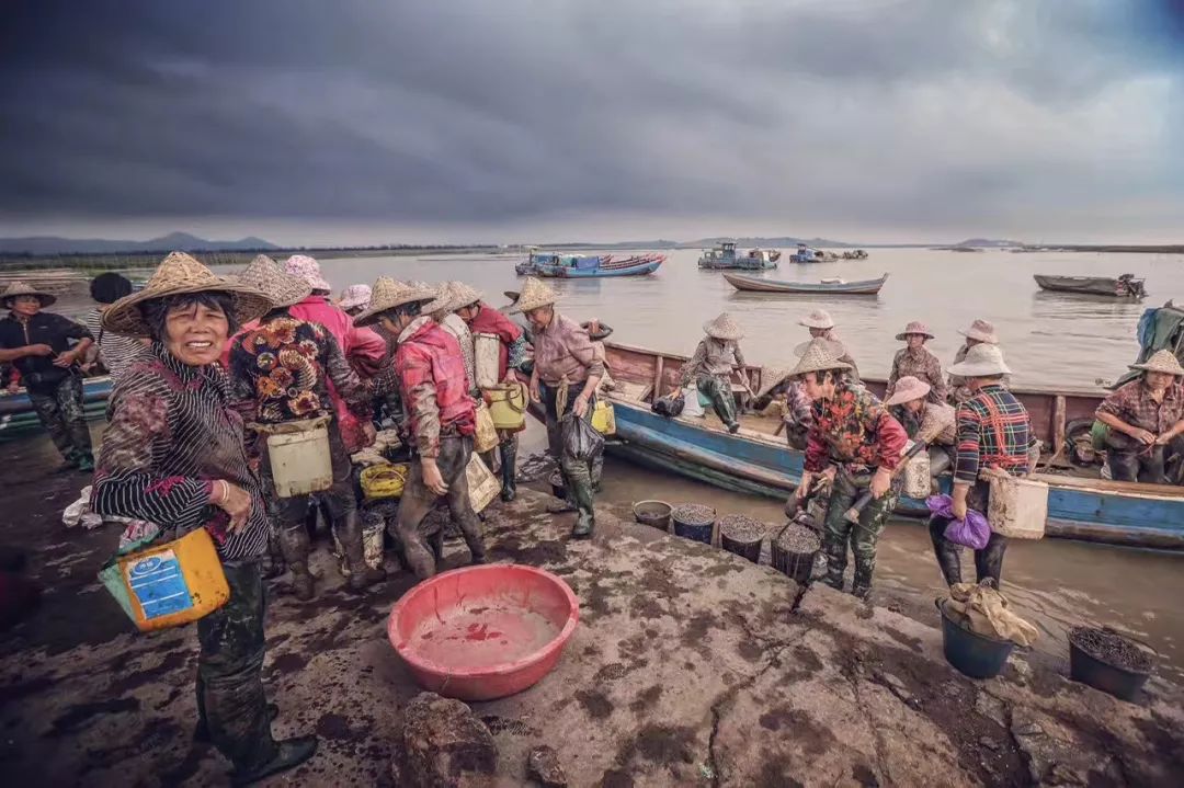 什么是台州畅行码,什么是台州