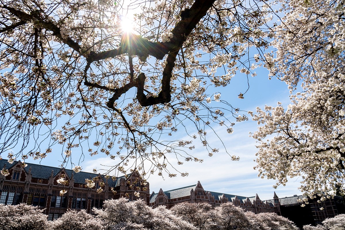 索尼A6400评测体验:自动对焦表现惊人,但也有不少缺点!