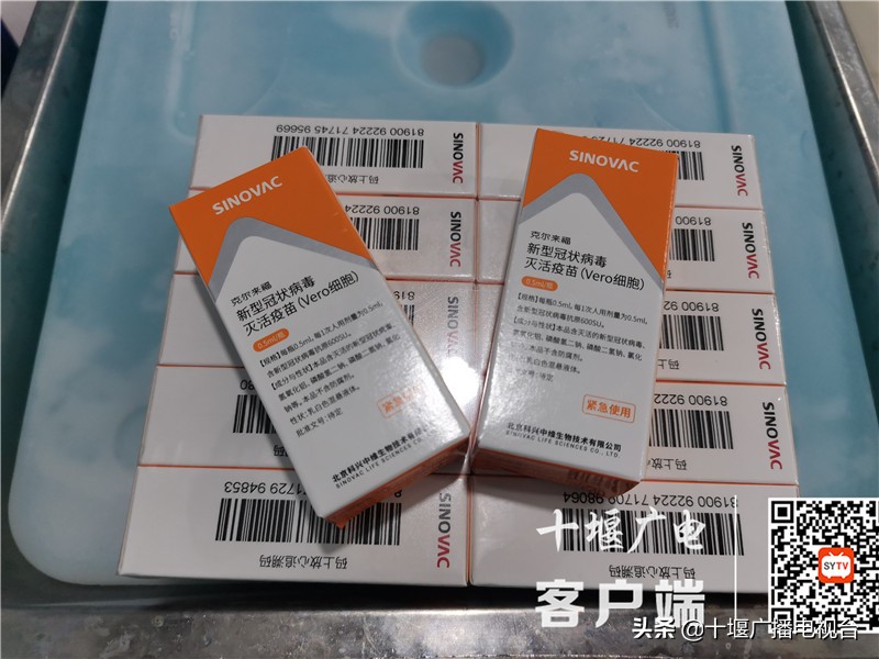 十堰现阶段接种的是哪种疫苗,湖北郧阳区新冠疫苗接种