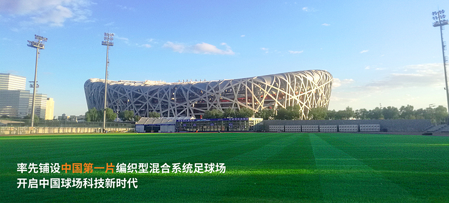 冰雪覆盖建筑物,冰雪覆盖效果