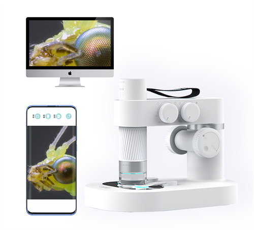 儿童益智玩具品牌加盟 (儿童枪玩具品牌十大排名)