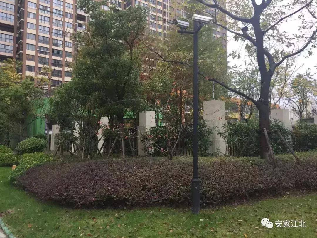 江北烂尾楼最新消息,实拍江北鬼城烂尾楼