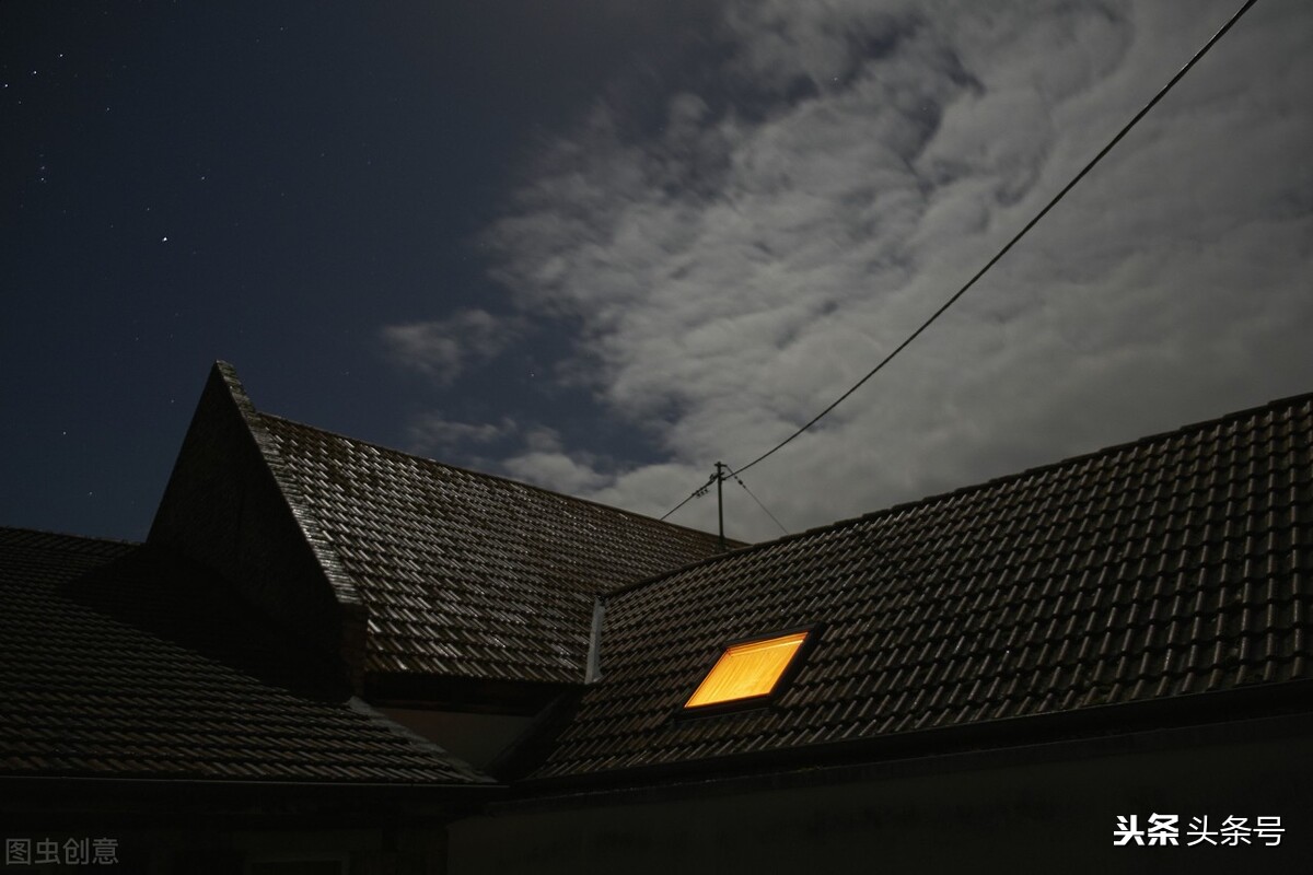 我为什么不吃猪肉,我为什么不吃牛肉