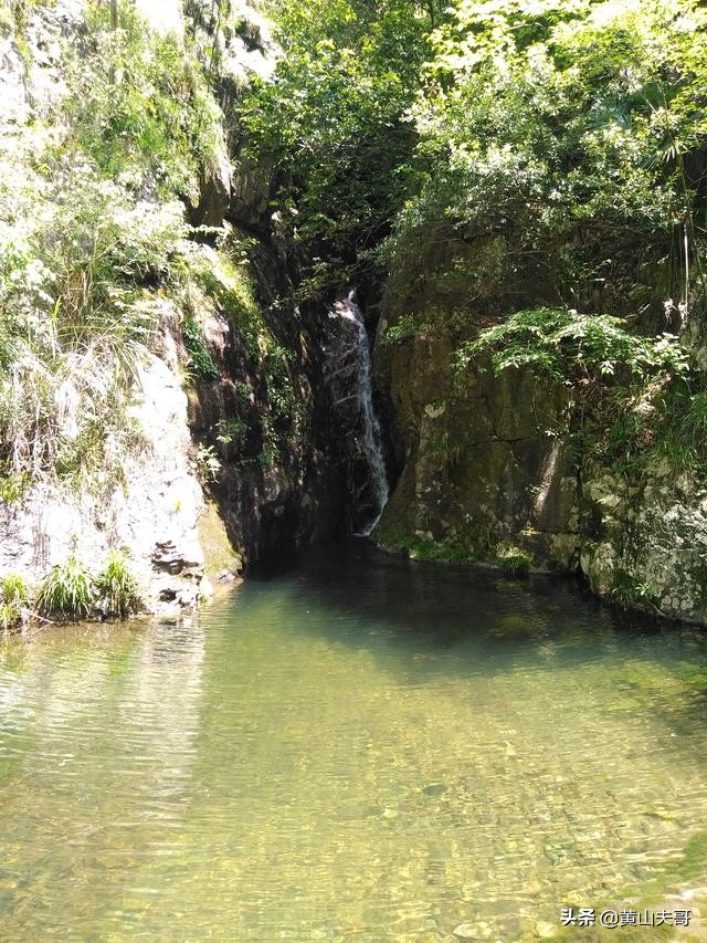 茶中翡翠，歙县滴水香——一颗蒙尘在北纬30°线上的黄山明珠