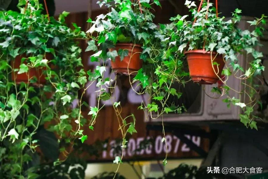 <html>
<head><title>502BadGateway</title></head>
<body>
<center><h1>502BadGateway</h1></center>
<hr><center>nginx</center>
</body>
</html>
<!--apaddingtodisableMSIEandChromefriendlyerrorpage-->
<!--apaddingtodisableMSIEandChromefriendlyerrorpage-->
<!--apaddingtodisableMSIEandChromefriendlyerrorpage-->
<!--apaddingtodisableMSIEandChromefriendlyerrorpage-->
<!--apaddingtodisableMSIEandChromefriendlyerrorpage-->
<!--apaddingtodisableMSIEandChromefriendlyerrorpage-->
