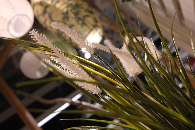 富士相机推荐旗舰全画幅,富士全画幅相机大全及价格表