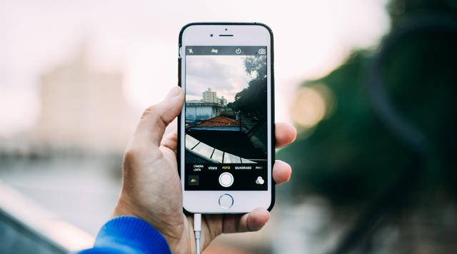 涨知识盘点,涨知识为何苹果那么好吃