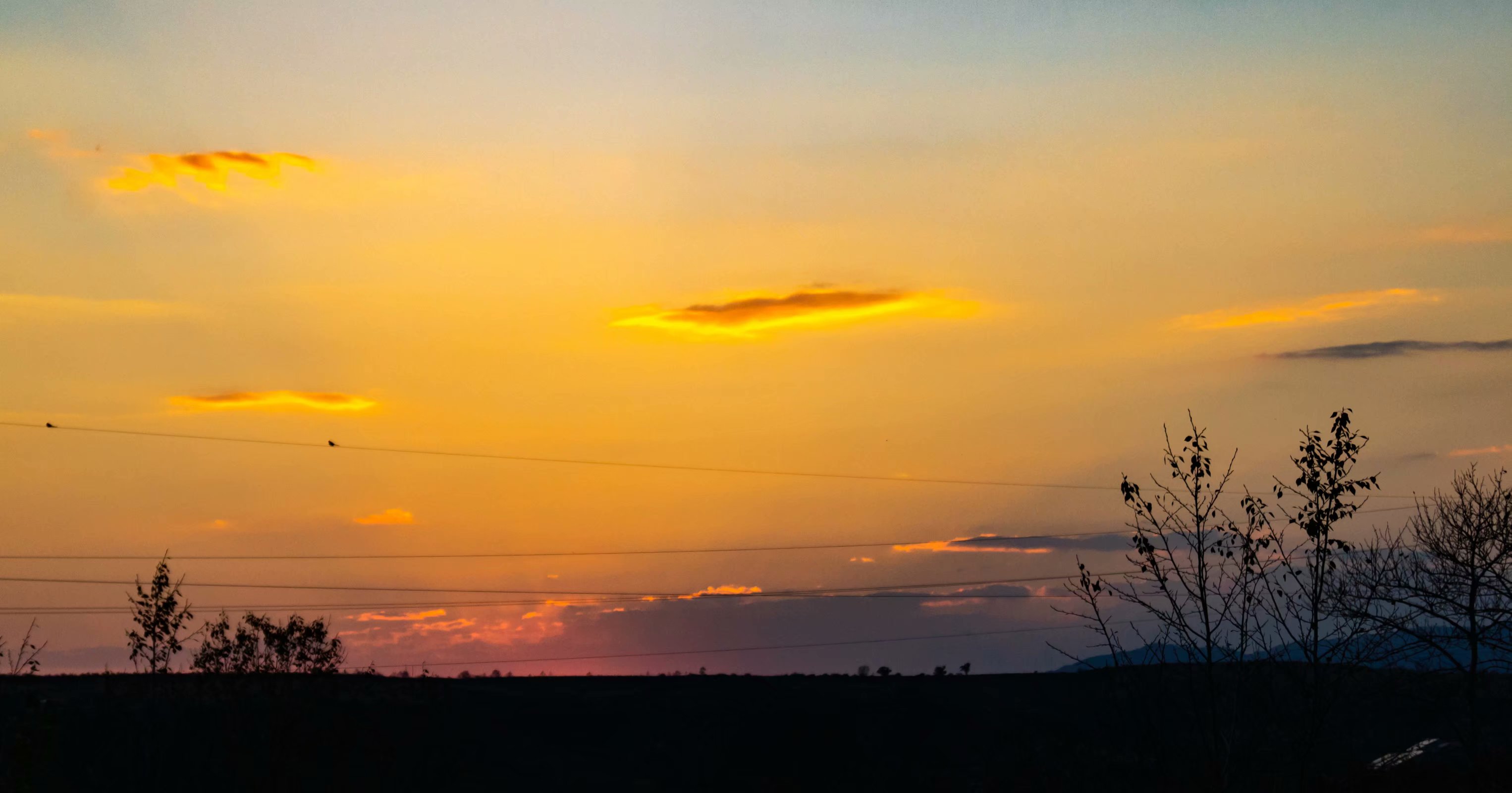 考研跨考热门专业排行前十,考研跨考十大热门专业