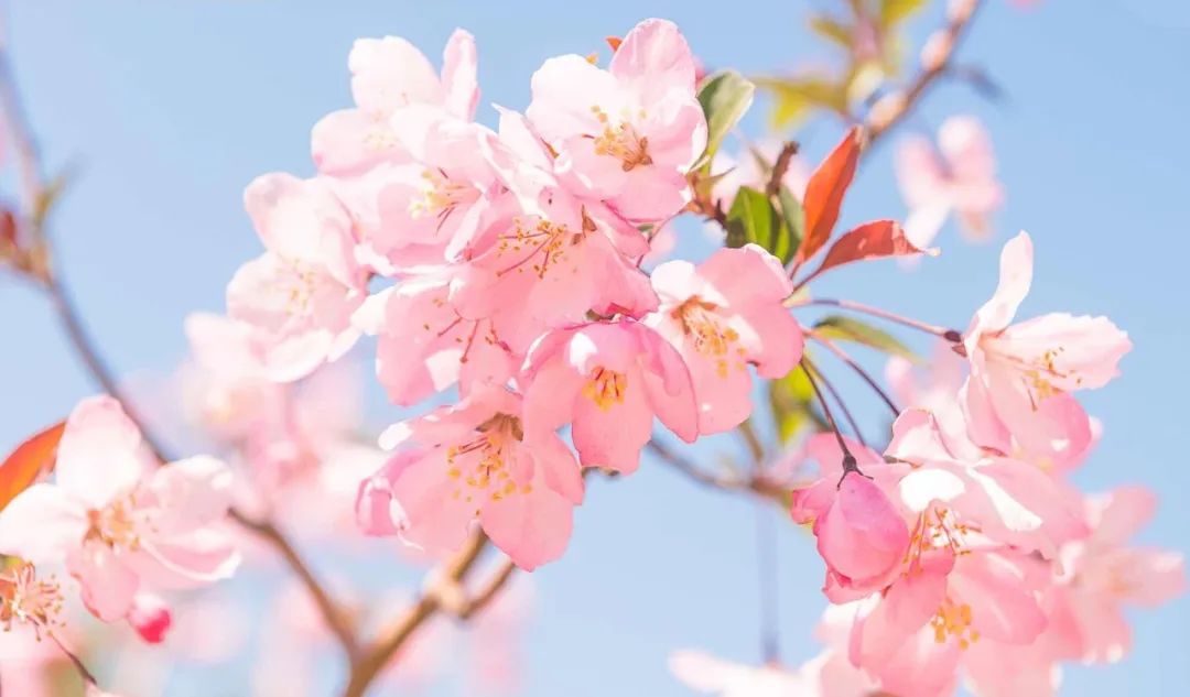 美过三亚!比厦门浪漫!大连这座海滨老城,去一次相当于环游世界