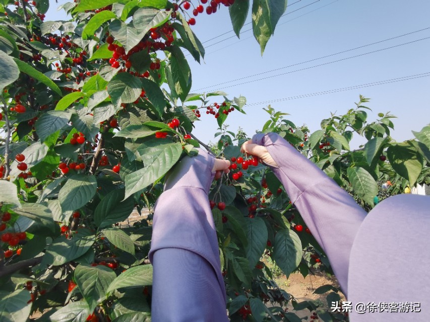 足球小镇有什么项目,足球小镇区游玩攻略