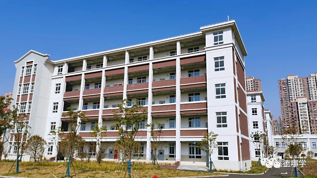 上海浦东新区100所中小学,浦东新区全区招生小学