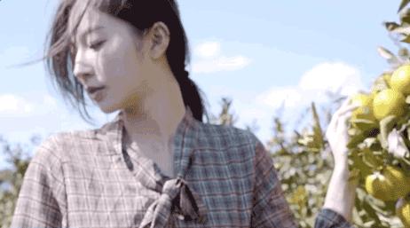 “韩国张钧甯”比基尼照爆红全网，成新任整容模板