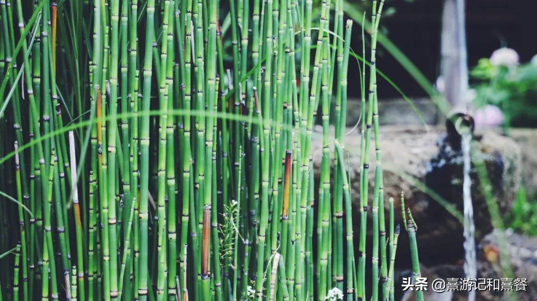 无锡拈花湾景区内客栈,无锡拈花湾民宿客栈价格