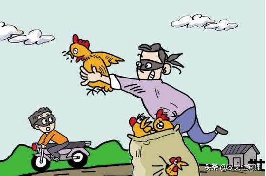 发现小偷在偷你东西怎么办,发现小偷进了房间怎么办