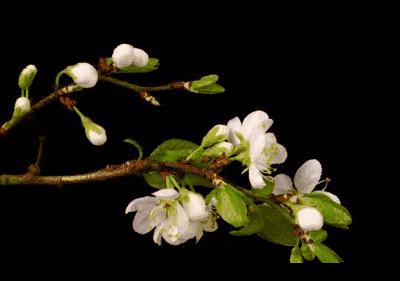 娆洪湝璧涢洩,娆洪洩璧涢湝