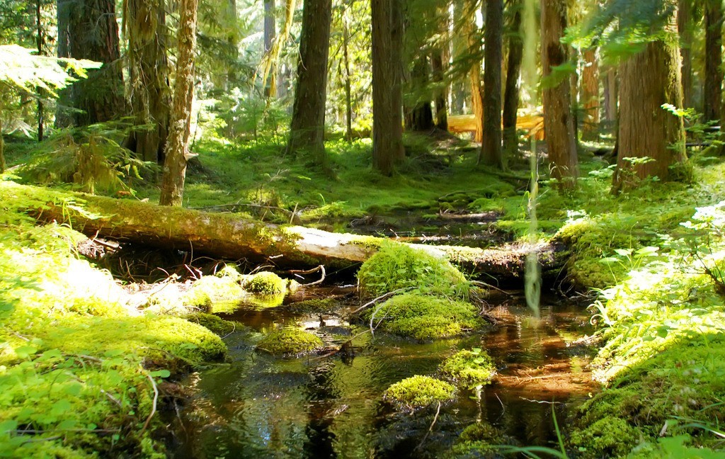 5g智慧农业可以干什么,5g智慧农业的应用实例