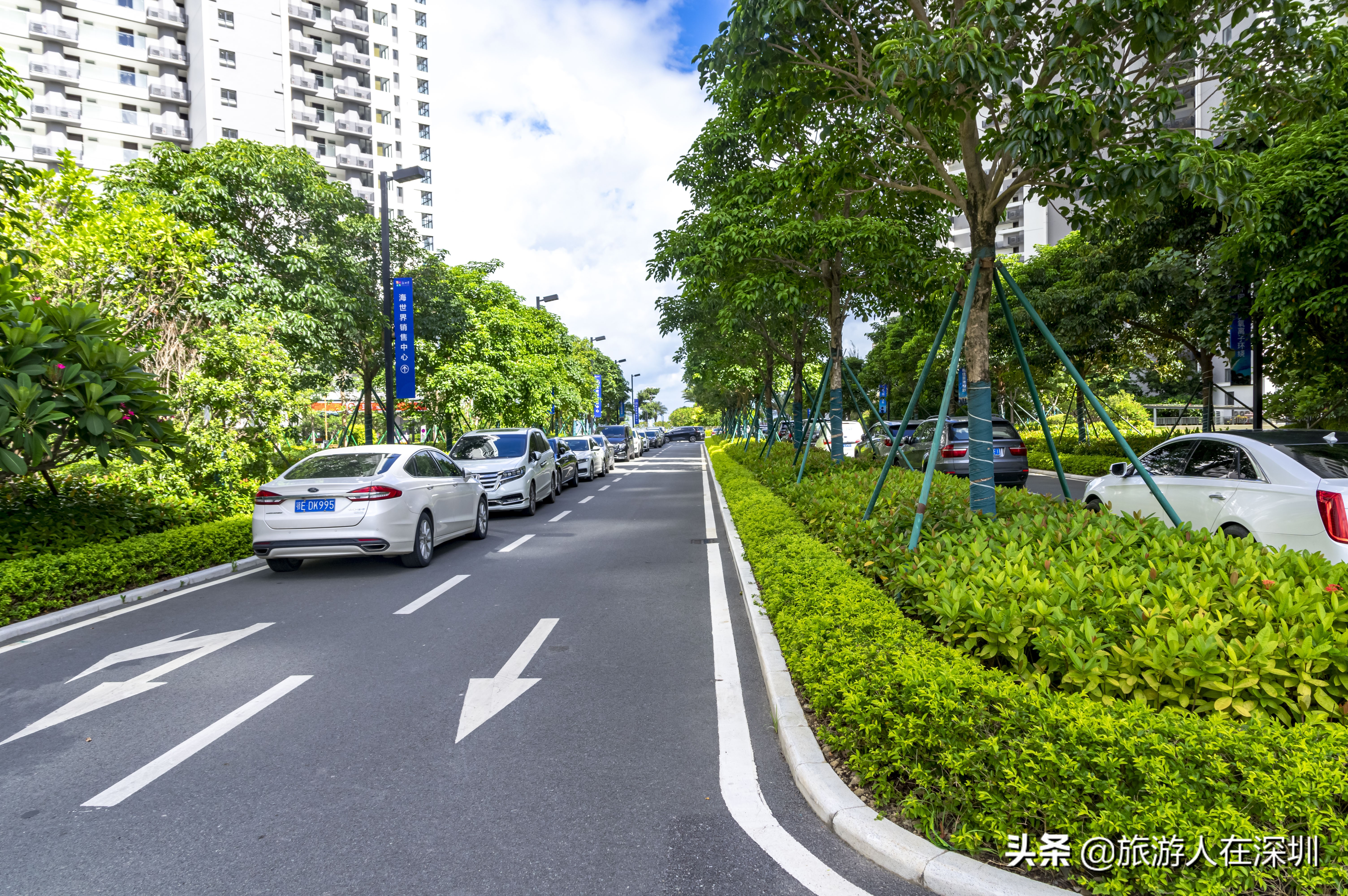 惠州巽寮湾酒店民宿推荐4房,巽寮湾海景酒店公寓