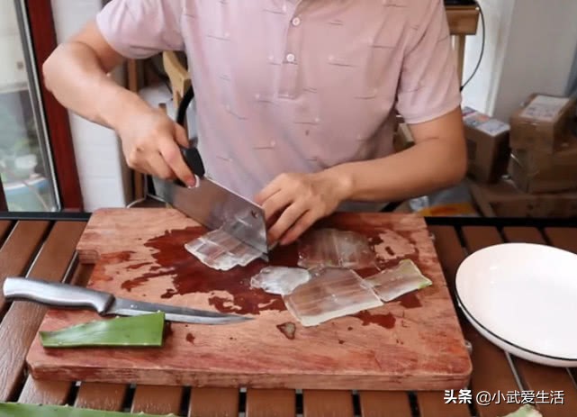 原来芦荟也可以吃吗？试吃可食用的巨型芦荟，直接蘸酱油就能吃