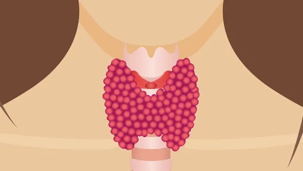 老中医讲知柏地黄丸,知柏地黄丸可以治阴虚火旺么