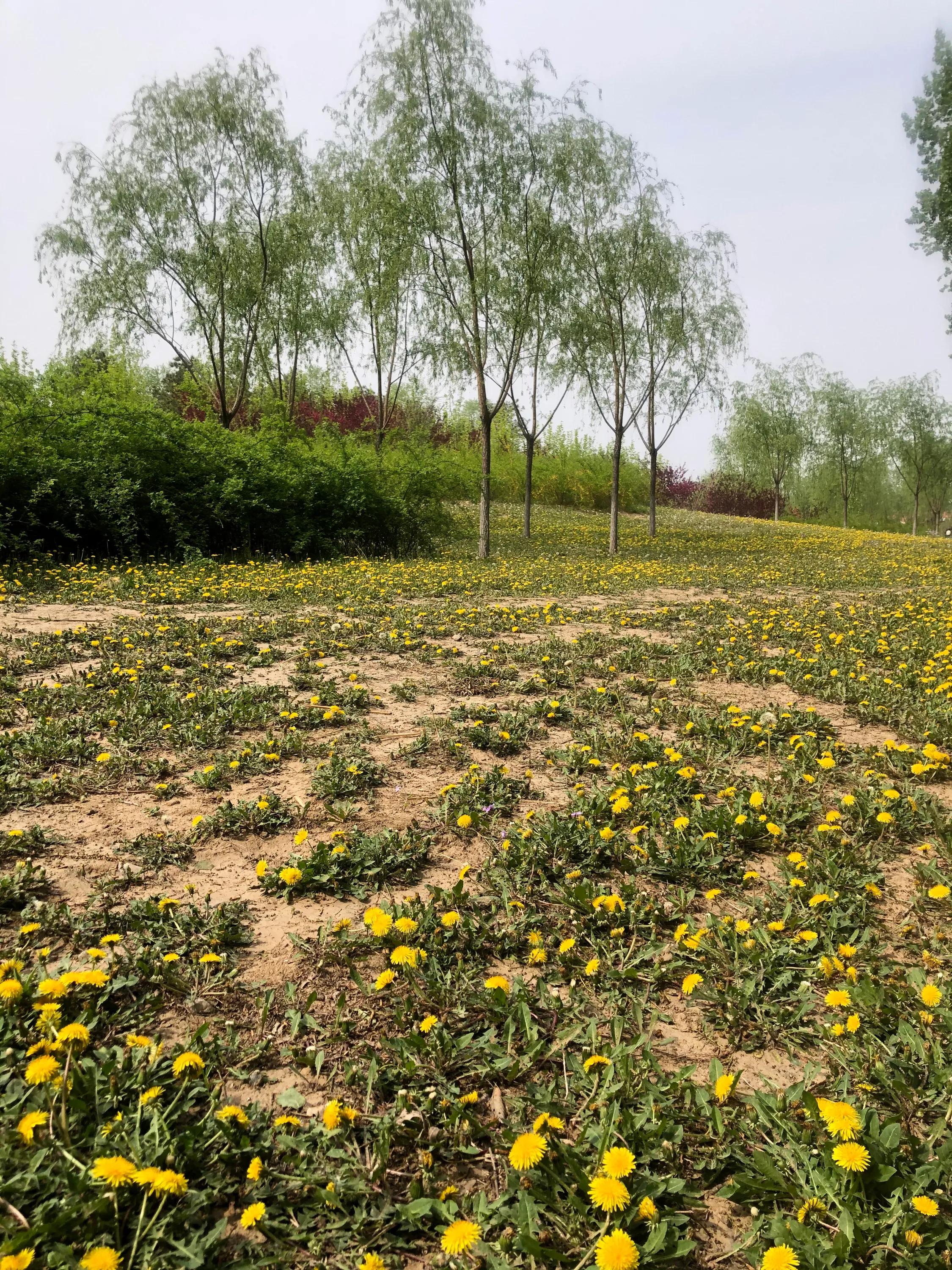 考研必备考点,考研知识点学不明白怎么办