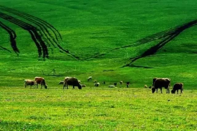 下半年旅行最佳时间表,2023最佳旅游时间表