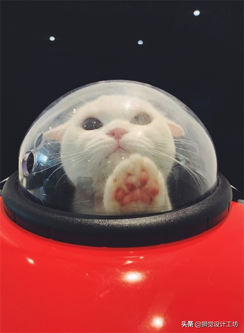 拍一张照片就能设计成一幅海报,一张人像图片做成海报构图