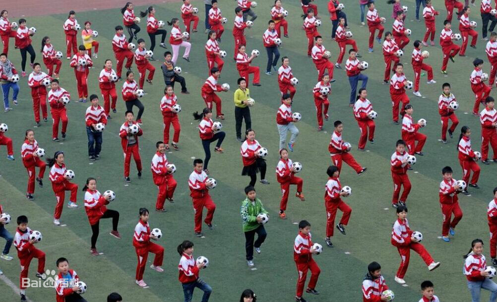 白岩松谈二十年后中国足球原视频,白岩松谈中国足球进世界杯