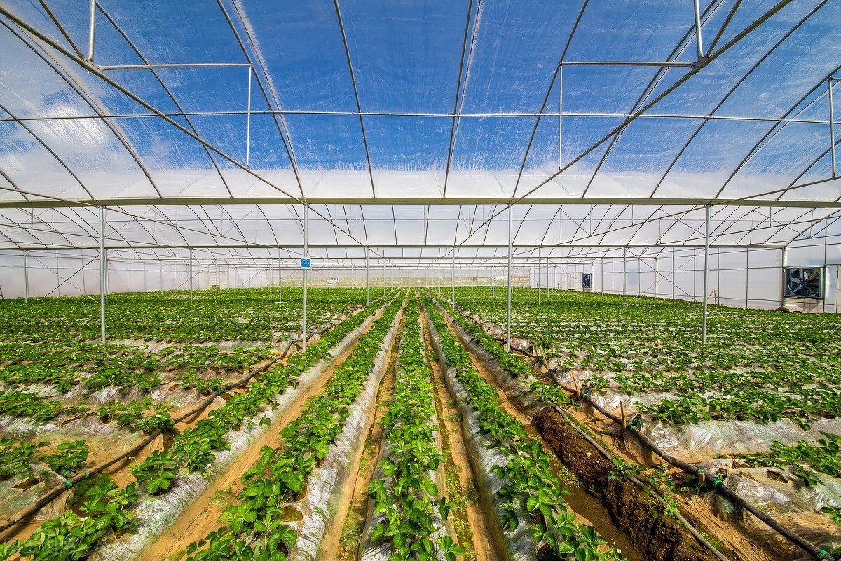 广东省2024年重点工程项目梅州,梅州市2023年规划项目223项