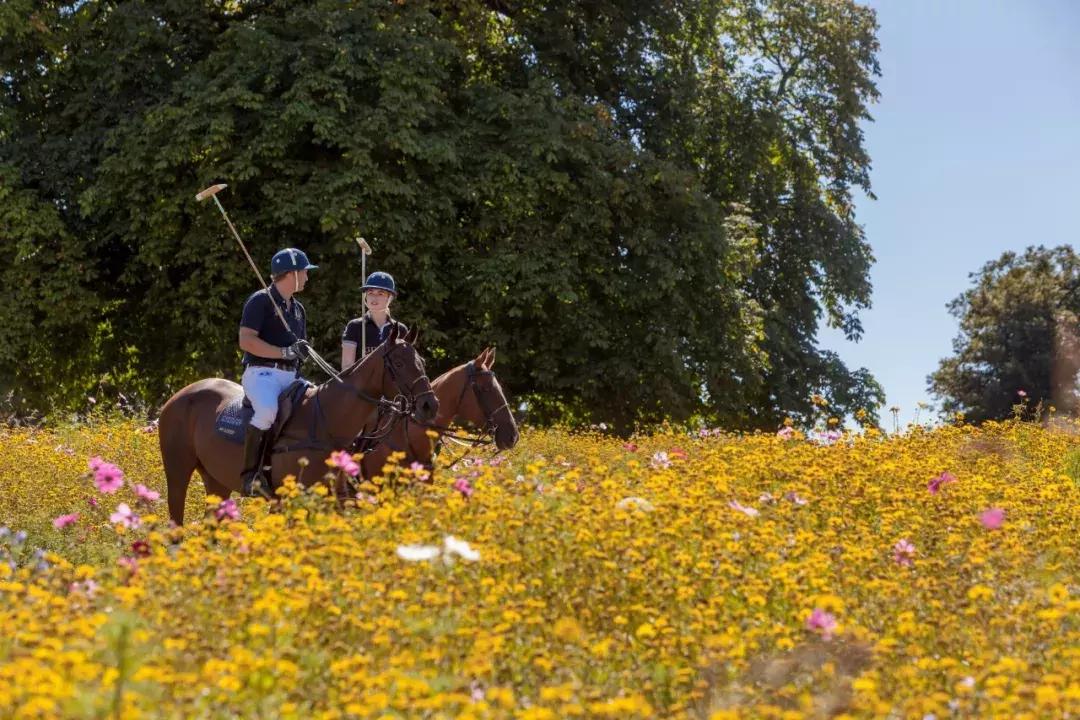 顶级奢华100亩中式庄园,顶级富豪的私人豪宅庄园