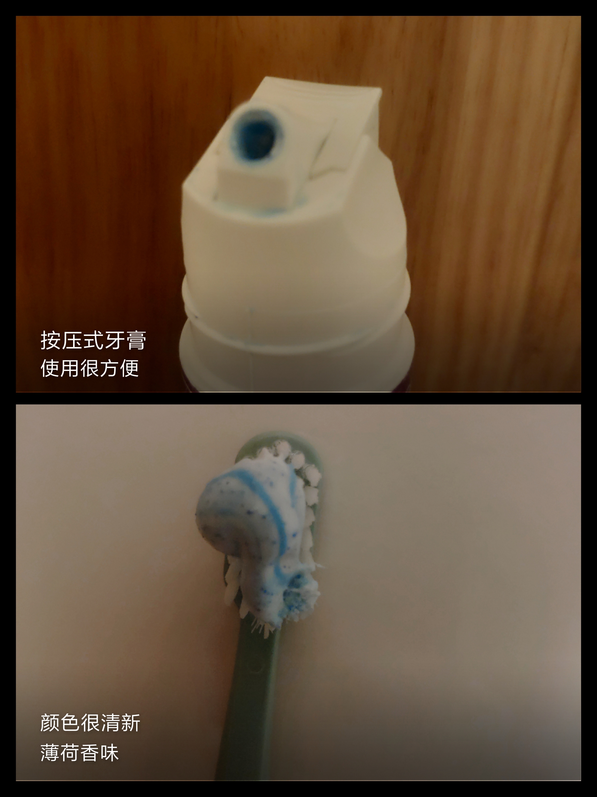 每日好物分享小知识 (好物推荐日常生活好物分享)