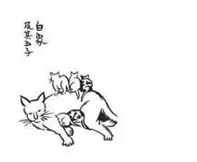 钱钟书和林徽因的护猫之战 (钱钟书的猫跟谁的猫打过架)