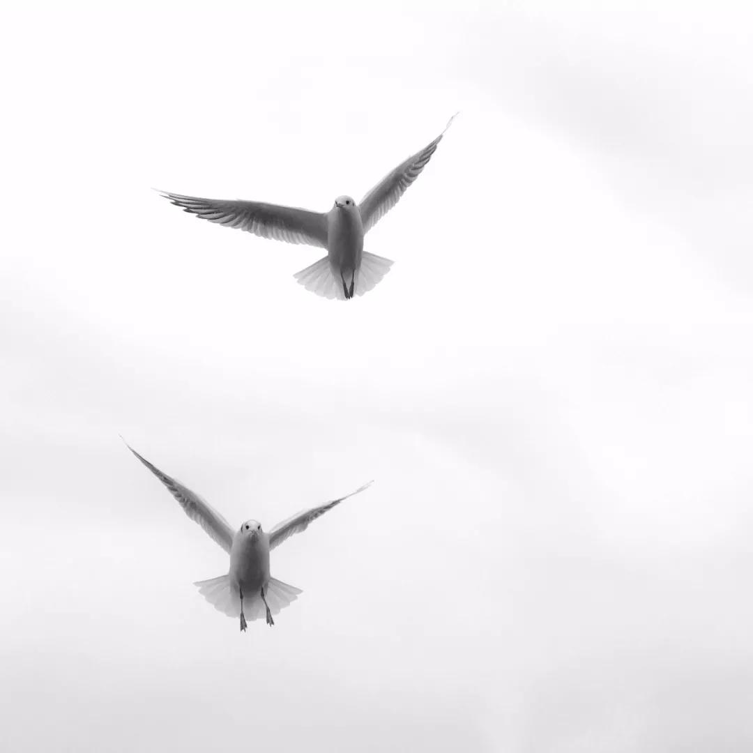 新手iphone必调设置,苹果自带相机拍摄技巧