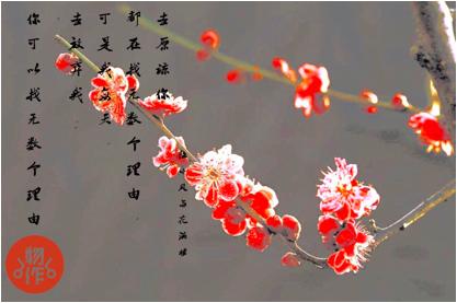 手机修图怎么修成油画感,艺术照片后期修图教程