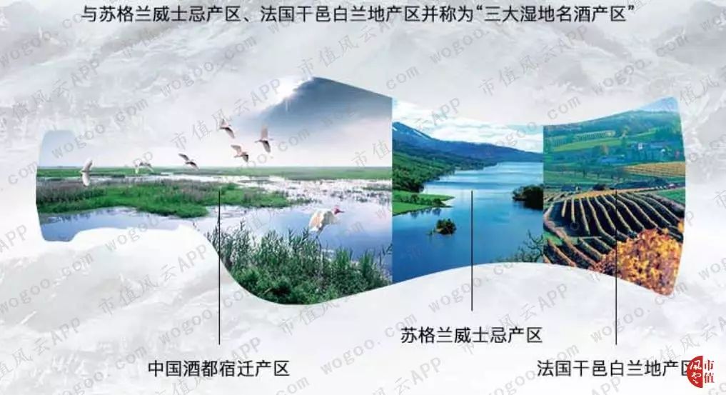 乾隆曰“真佳酒也”：苏北古镇的洋河大曲|风云独立研报