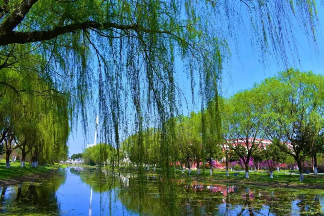 托普学院苏州,苏州托普信息职业技术学院怎么样