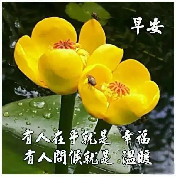 浜虹敓鍗冮噾鏄撳緱鐭ュ繁闅捐,鍗冮噾鏄撳緱鐭ュ繁闅炬眰鏃╁畨鍥剧墖