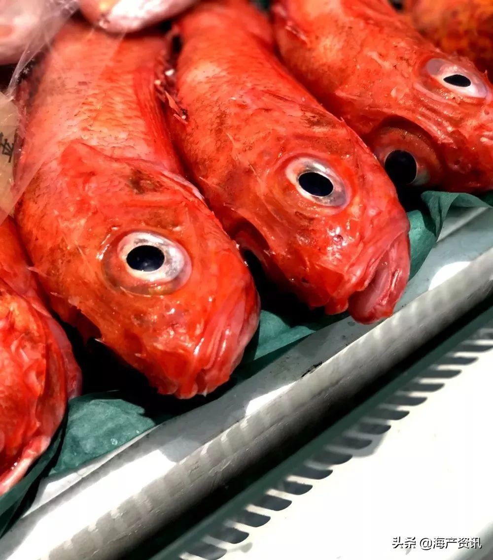 这些诱人的美食你吃过吗,世界上顶级海鲜大全你吃过几种