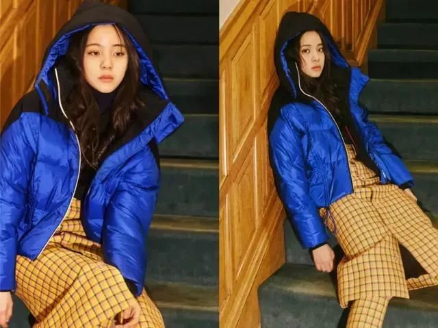 加拿大鹅和波司登哪个抗寒 (波司登羽绒服和加拿大鹅哪个好)