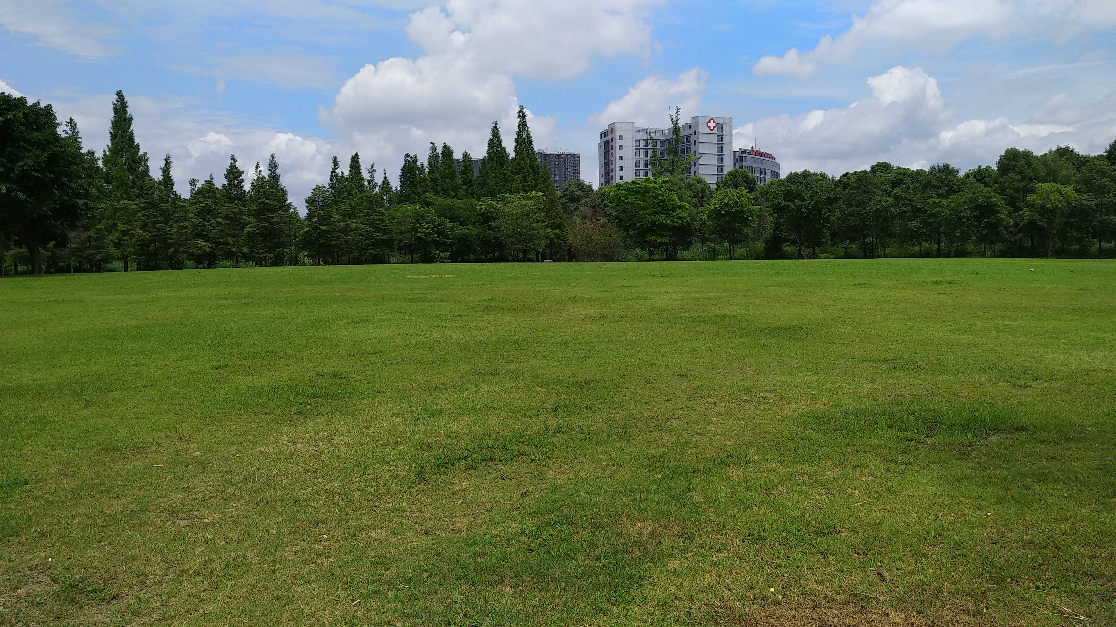 成都南湖公园钓鱼,成都南湖公园