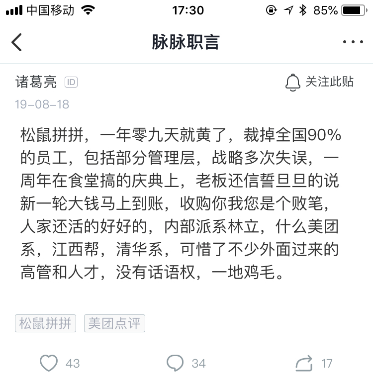 松鼠破产后的绝望,松鼠破产后续