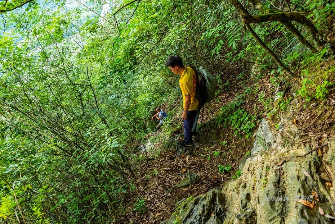 徒步穿越秦岭无人区,徒步穿越喀斯特森林