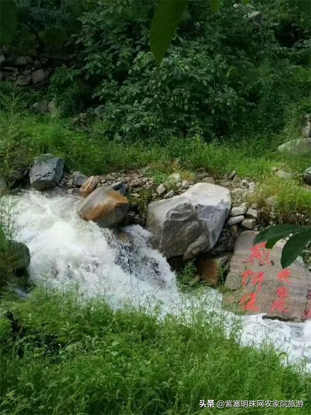 兴隆县花市村煎饼王农家院,承德兴隆煎饼的做法