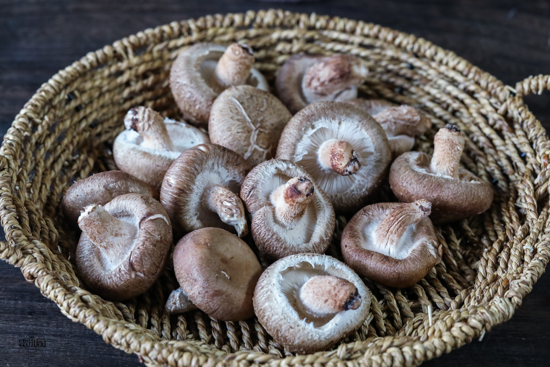香菇直接用清水洗,香菇里面有小虫子怎么办