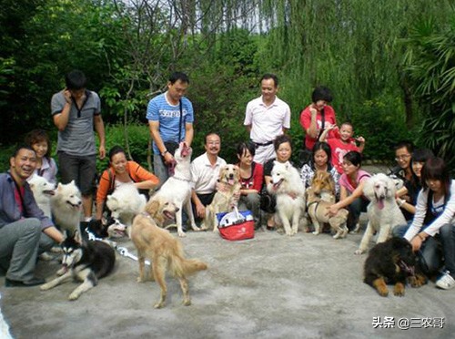 回农村做什么项目赚钱,当下农村生意最赚钱的项目