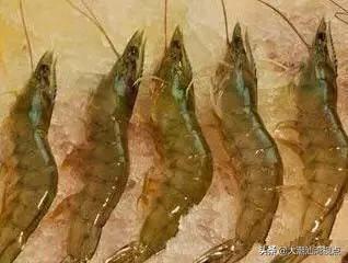 作为潮汕人，这89种海鲜你都能对上号吗