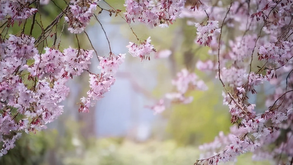 不必太执着又何必为难自己呢,生活已如此艰辛不必为难自己