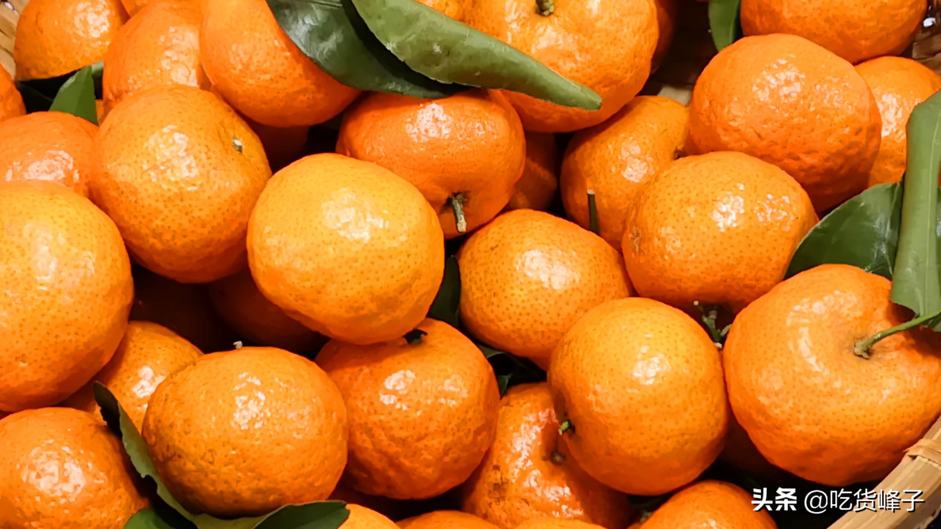 砂糖橘怎么选才是最甜的,买砂糖桔的注意事项