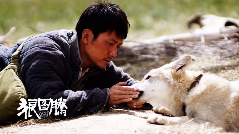 经典的动物灾难电影,推荐几部有关动物灾难方面的电影