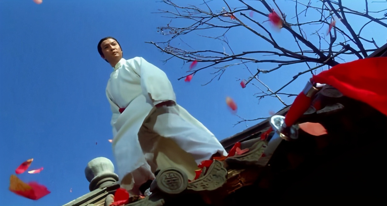 陈总舵主陈家洛陈近南,天地会总舵主陈近南陈家洛