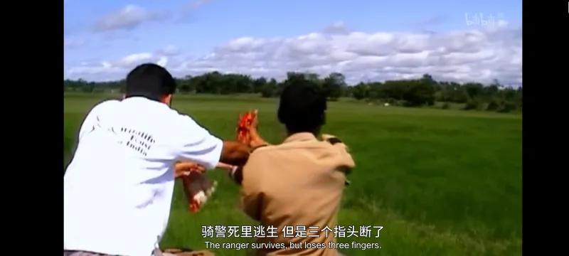 孟加拉虎捕猎网纹蟒,孟加拉虎和网纹蟒